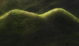 绿地爆料最新消息新闻视频