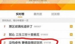 卓伟爆料爱豆卖身视频,爱豆卖身视频事件引发娱乐圈地震