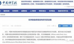 猪瘟最新爆料新闻报道