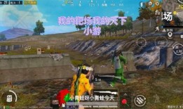 和平精英靶场爆料视频,揭秘神秘武器与战术技巧