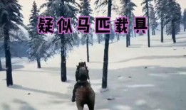 新求生作曲爆料视频,揭秘幕后创作故事与音乐魅力