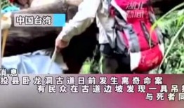 日媒爆料台湾新闻事件,揭秘背后真相