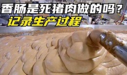 火腿制作过程爆料视频大全,视频大全带你走进美味诞生之旅