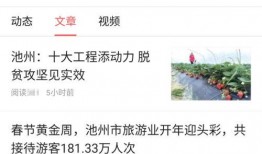 头条号新闻爆料文章,揭秘文章背后的惊人真相
