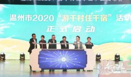 热点爆料温州新闻网,聚焦热点事件，揭秘背后真相