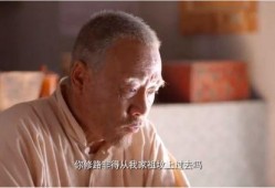 老汪爆料杨仪视频全集,杨仪视频全集深度解析