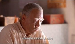 老汪爆料杨仪视频全集,杨仪视频全集深度解析