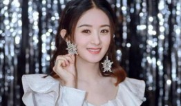 赵丽颖爆料酒吧事件视频,真相与争议交织
