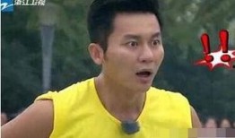李晨最新爆料视频,揭秘娱乐圈不为人知的秘密