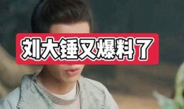 娱乐爆料大锤是谁啊视频