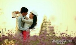 爱在春天全集在线观看