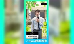陇南都市爆料新闻直播,直播揭秘城市热点事件
