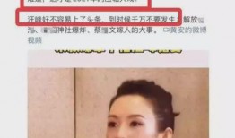 娱乐大瓜爆料离婚女主,揭秘离婚女主背后的真相与心酸