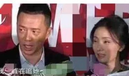 明星大事件最新消息爆料,独家爆料，揭秘娱乐圈最新热点动态