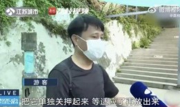 吃瓜逛街的网红是谁,揭秘网红日常