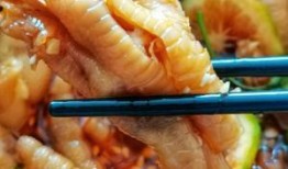 爆料无骨鸡爪视频大全集,美味诱惑，轻松享用的美食攻略
