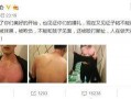 娱乐圈吃瓜熊婶是谁,吃瓜熊婶的真实身份大起底