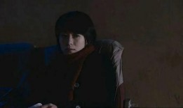 夜车刘丹在线观看,揭秘在线观看的惊险旅程