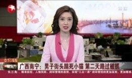 内蒙古妻子爆料新闻视频,揭露家庭暴力背后的惊人真相