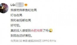 老姜爆料视频大全最新版,揭秘娱乐圈最新动态与幕后真相