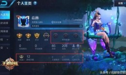 王者英耀新爆料视频大全,视频大全揭秘精彩瞬间与神秘新内容