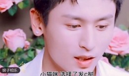 韩流女团爆料视频合集大全,独家爆料视频合集大盘点