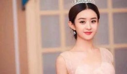 赵丽颖爆料酒吧事件视频,真相与争议交织