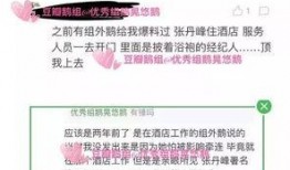 卓伟爆料洪欣完整视频,卓伟爆料背后的真相揭秘