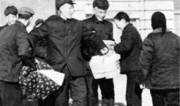 长垣老兵爆料事件始末视频,真相与争议的交织
