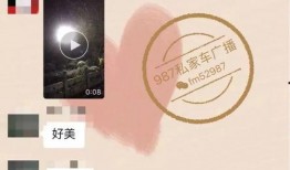 爆料冷冷的视频在线观看,爆料内容大揭秘！