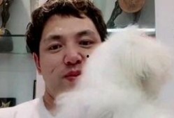 李亚强最新爆料视频,事件真相与幕后黑幕