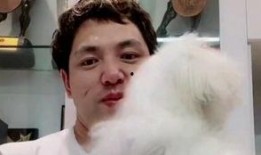 李亚强最新爆料视频,事件真相与幕后黑幕