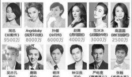 娱乐圈爆料片酬,明星收入背后的惊人真相