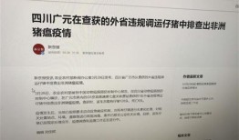 猪瘟最新爆料新闻报道