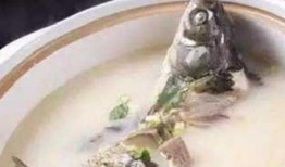 落汤鱼最新爆料,揭秘娱乐圈幕后真相