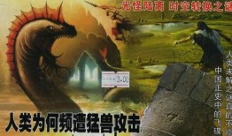 在线观看探索发现,揭秘未知世界的奥秘之旅
