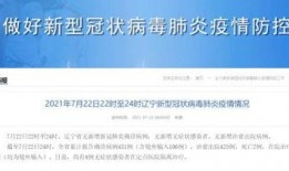 沈阳爆料最新消息今天,揭秘今日重大事件内幕