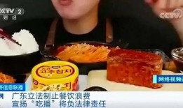 老太婆粥摊爆料视频播放,一碗粥背后的温情故事