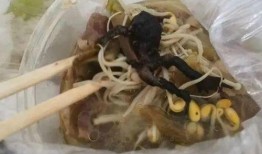 外卖肥牛爆料视频播放