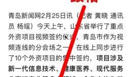 中视频计划新闻爆料,揭秘行业新动向与挑战