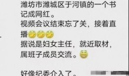谁爆料山东潍坊事件视频,真相背后引人深思