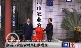 荆州新闻头条爆料视频,揭秘神秘爆料视频背后的惊人真相！