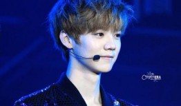 鹿晗爆料汪峰视频播放,视频播放引发热议