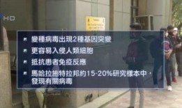 印度政府爆料视频最新,最新爆料视频揭示惊人内幕！”