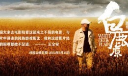 白鹿原电影在线观看完整版,穿越历史的长河，探寻家族命运之谜