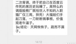 钉钉最新爆料消息,功能升级与全新体验即将来袭！