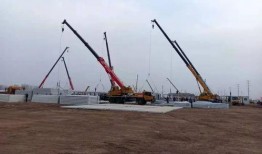 石家庄隔离爆料最新消息,揭秘隔离生活现状与挑战