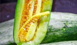 怎么吃网红的瓜公众号,如何轻松吃遍热门话题
