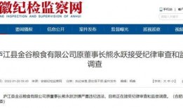 安徽的爆料新闻是什么,揭秘神秘事件背后的真相