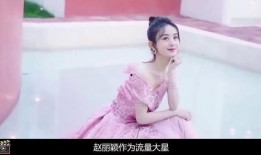 赵丽颖爆料酒吧事件视频,真相与争议交织